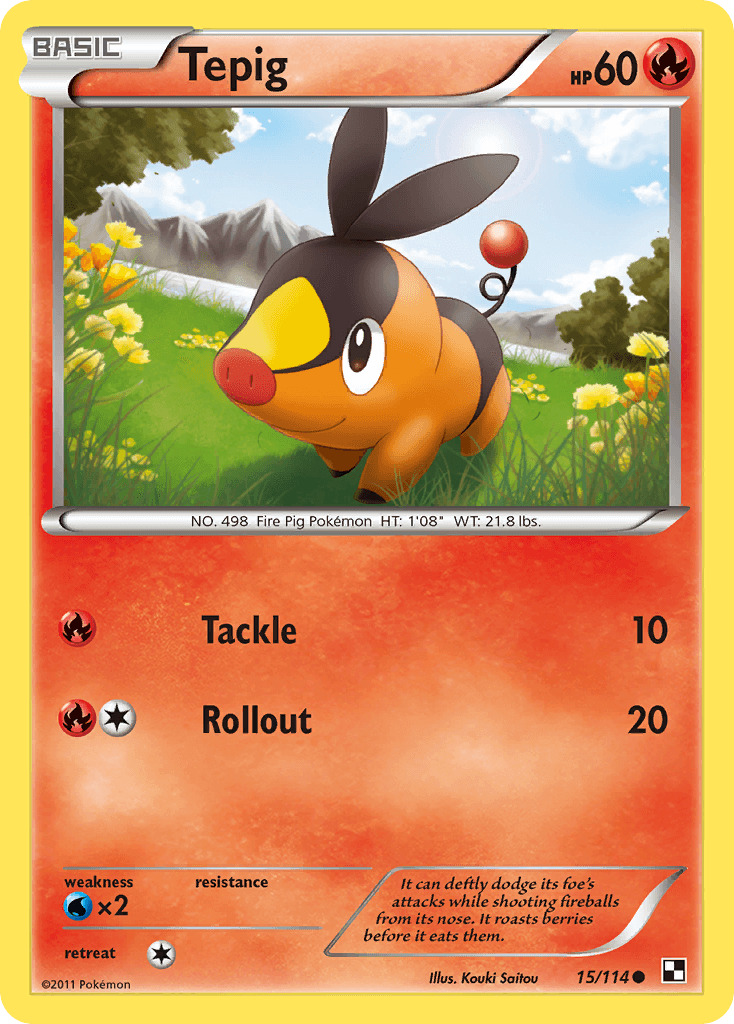 Tepig Pokémon card