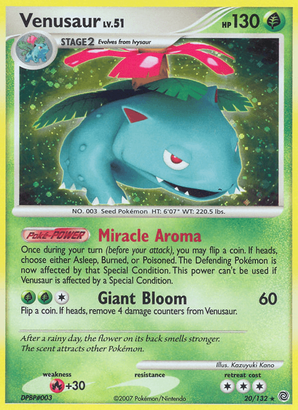 Venusaur from Secret Wonders