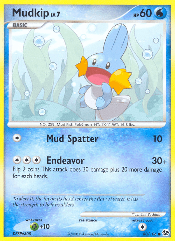 Mudkip Pokémon card