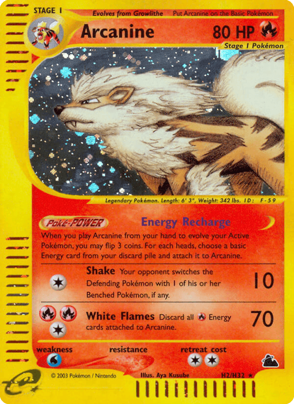 Arcanine from Skyridge