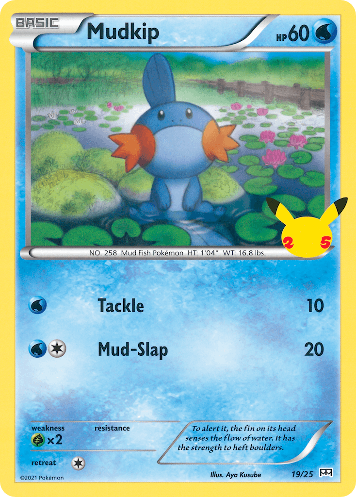 Mudkip Pokémon card