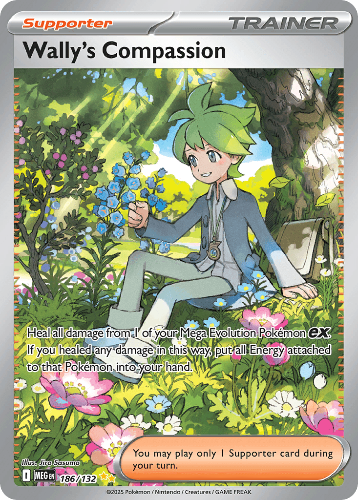 Wally's Compassion Pokémon card