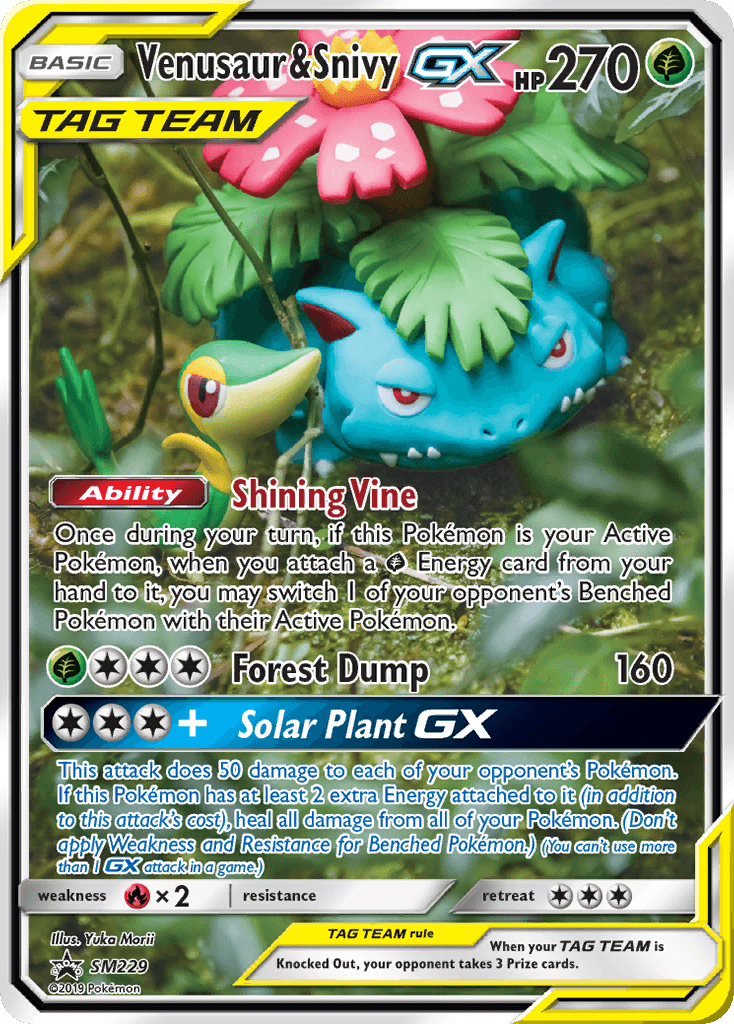 Venusaur & Snivy-GX from SM Black Star Promos