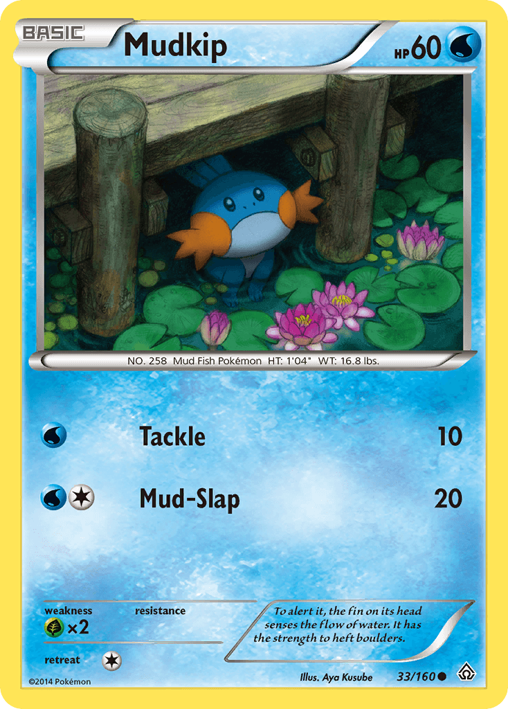 Mudkip Pokémon card