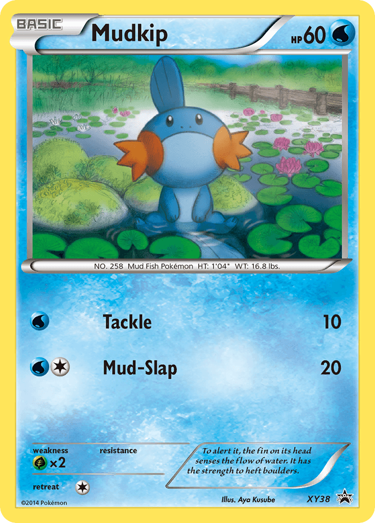 Mudkip Pokémon card