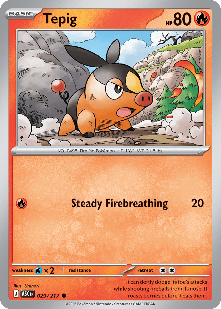 Tepig — Fire type