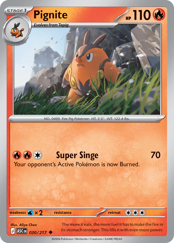 Pignite — Fire type