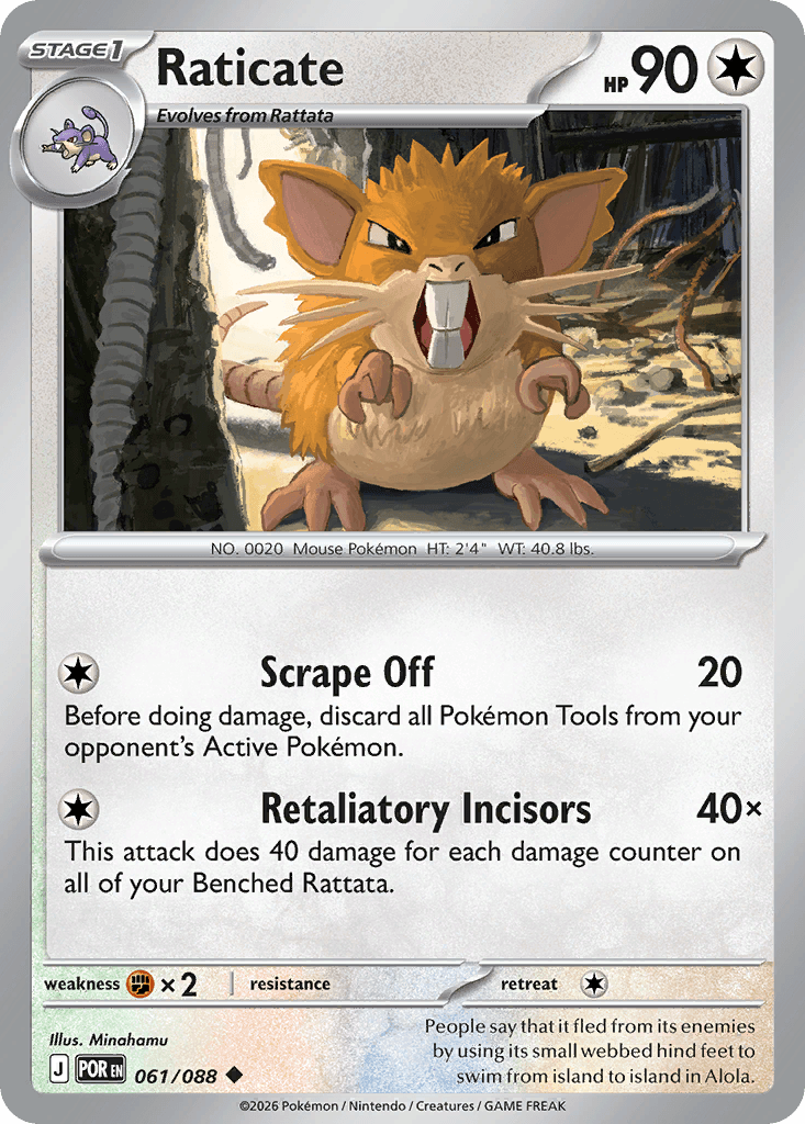 Raticate from Perfect Order