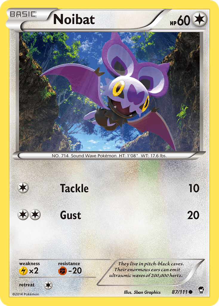 Noibat Pokémon card