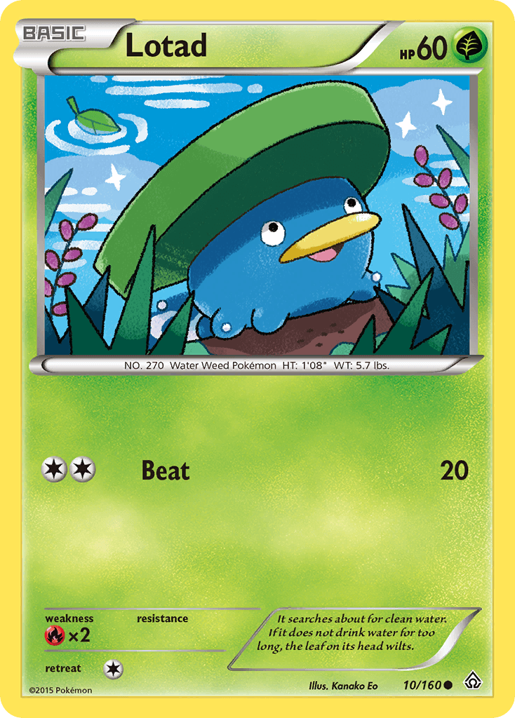 Lotad Pokémon card