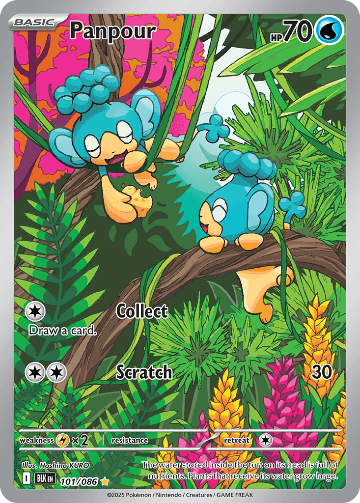 Panpour Pokémon card