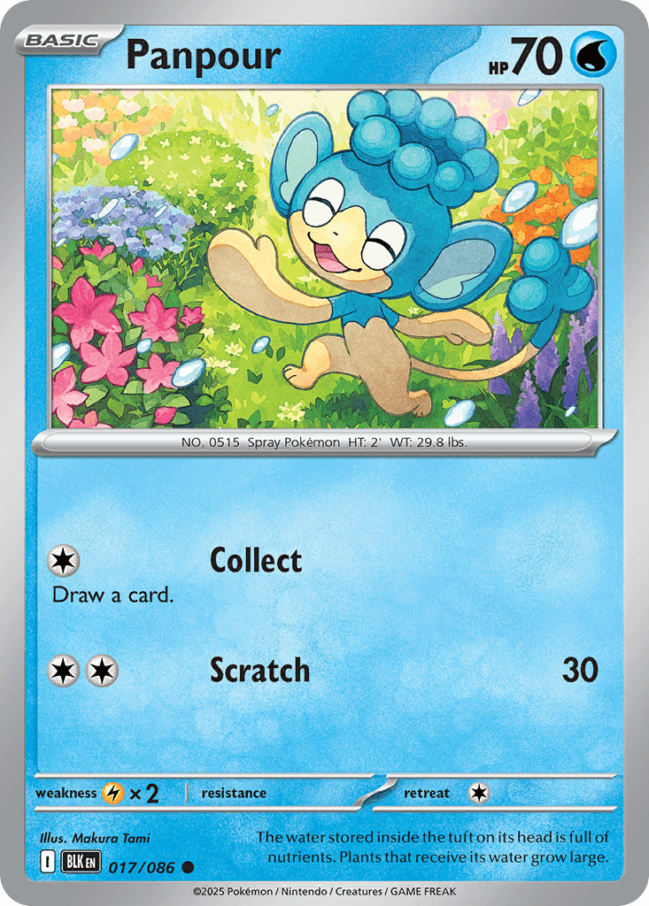 Panpour Pokémon card