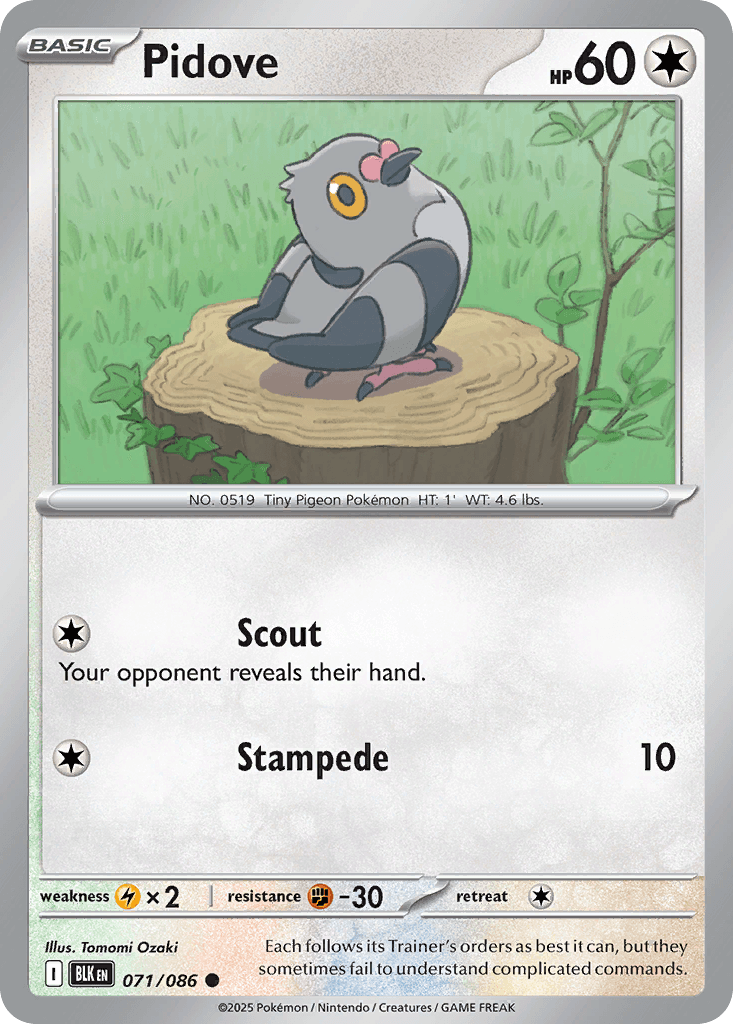 Pidove Pokémon card
